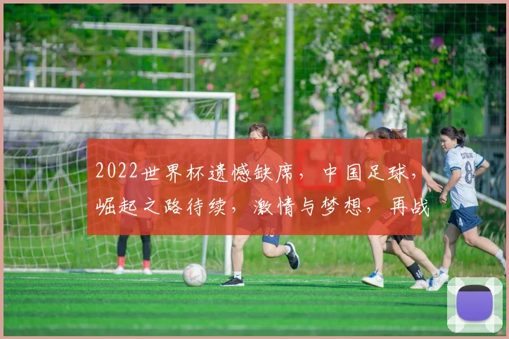2022世界杯遗憾缺席，中国足球，崛起之路待续，激情与梦想，再战2026