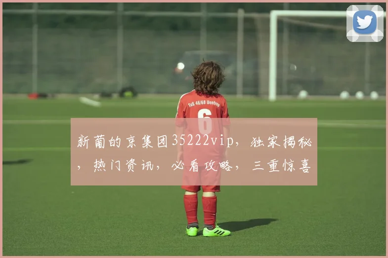 新葡的京集团35222vip，独家揭秘，热门资讯，必看攻略，三重惊喜，不容错过