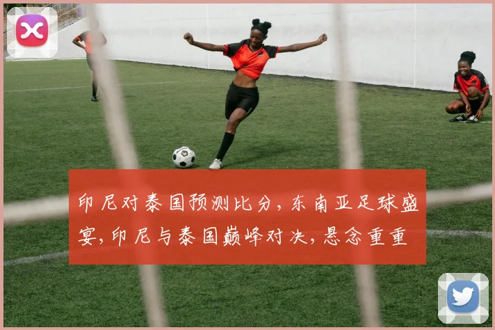 印尼对泰国预测比分,东南亚足球盛宴,印尼与泰国巅峰对决,悬念重重